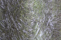 Deerton Street fibreglass roof work